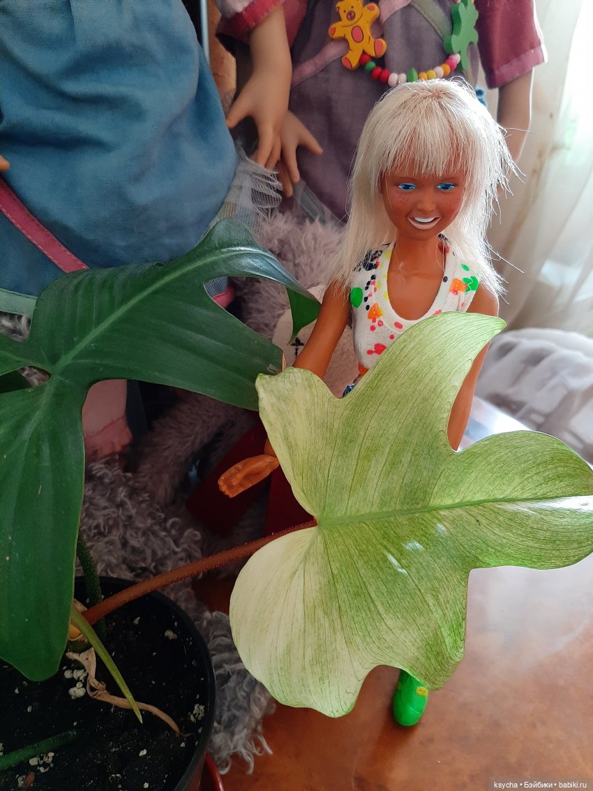 Мои домашние... джунгли — Болталка и разговоры обо всем: жизнь (фото 10)