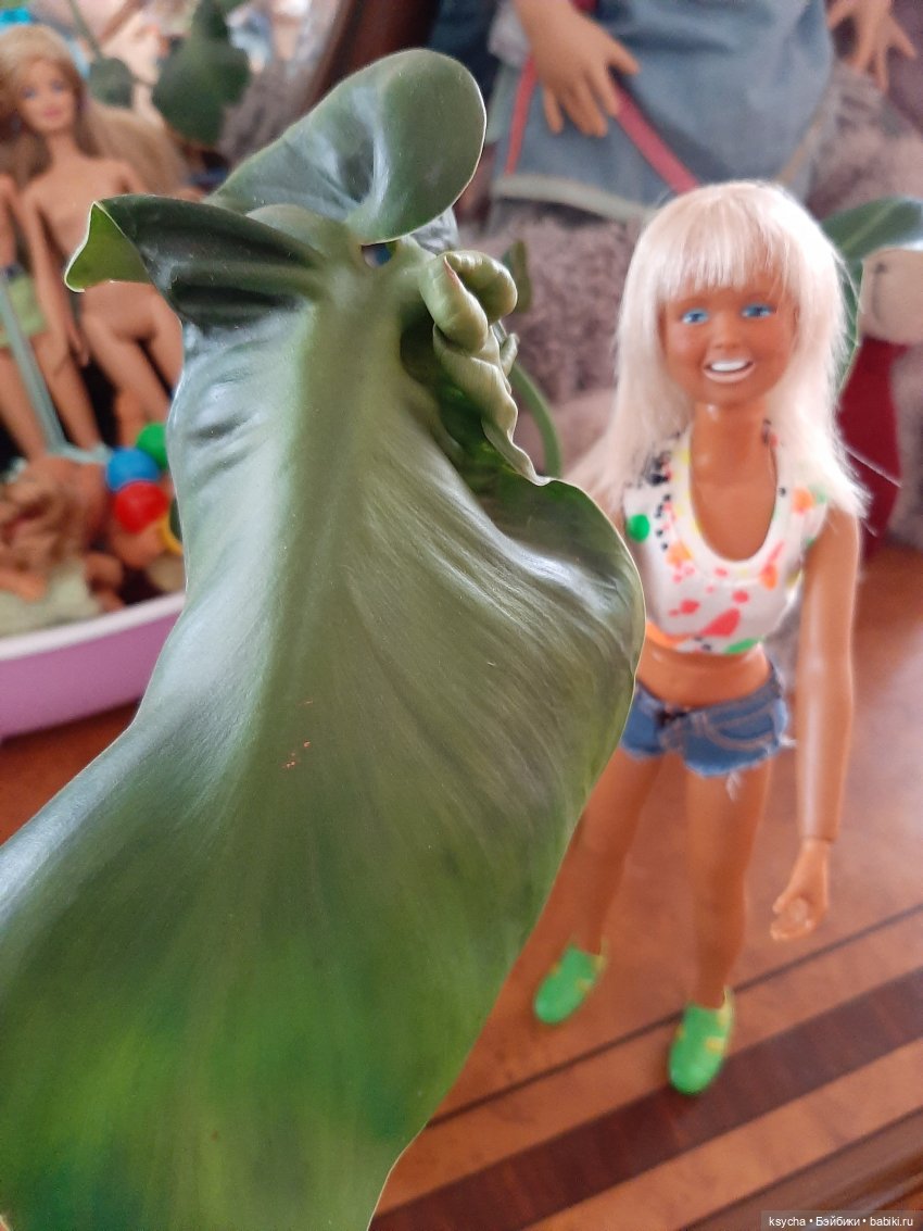 Мои домашние... джунгли — Болталка и разговоры обо всем: жизнь