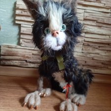 Без кота и жизнь не та