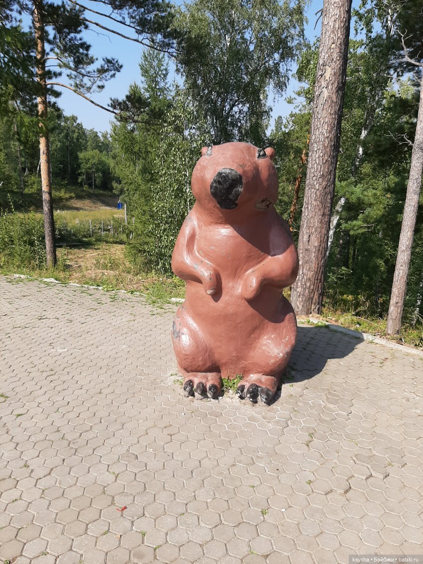 Фан парк Бобровый Лог в Красноярске (фото 10)