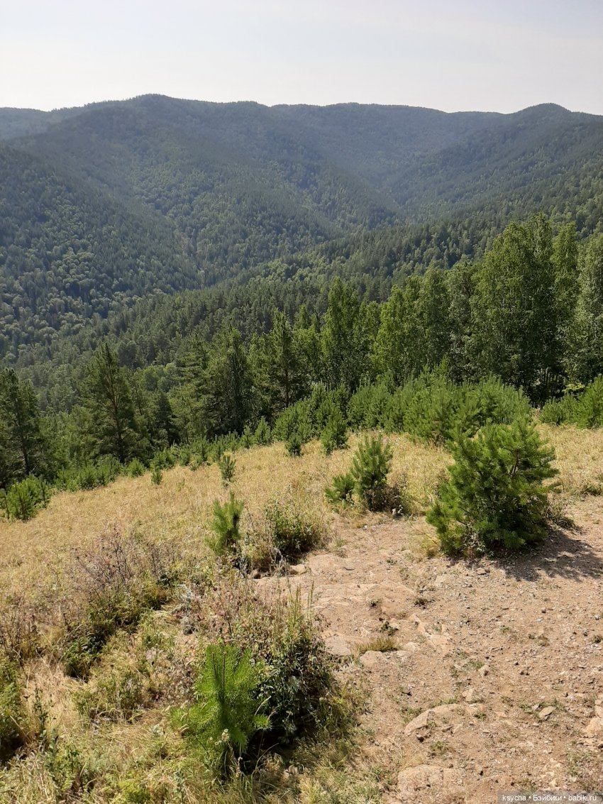 Фан парк Бобровый Лог в Красноярске