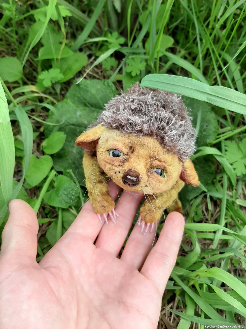 Наш Ёжа Ёжевич — Домашние фото авторских игрушек: Тедди (фото 8)