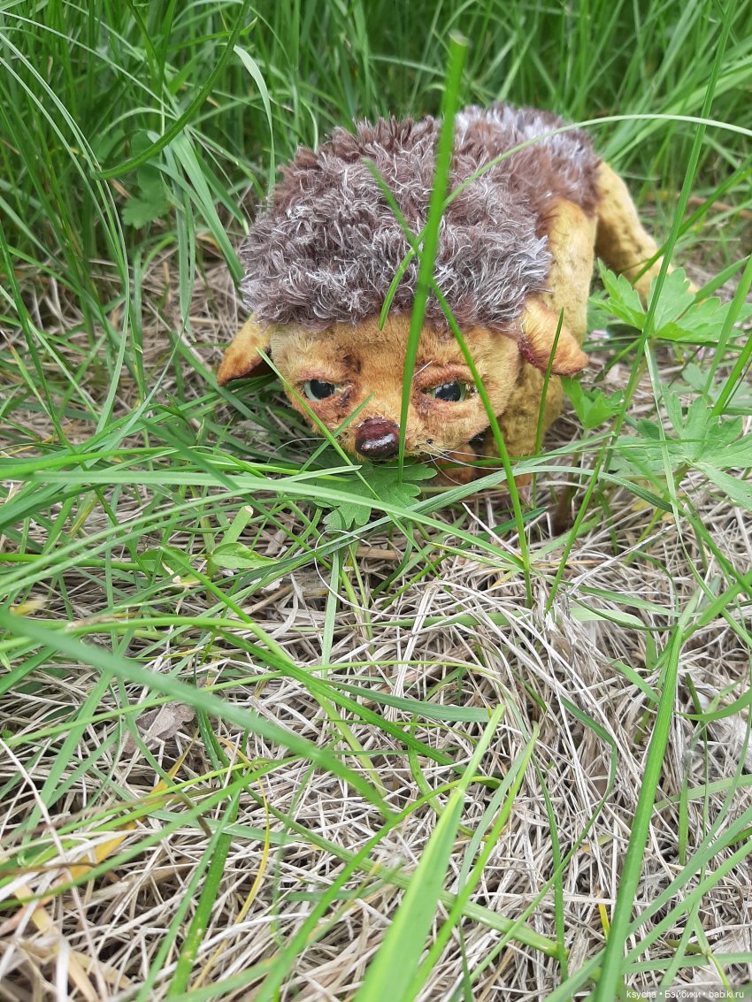 Наш Ёжа Ёжевич — Домашние фото авторских игрушек: Тедди (фото 6)