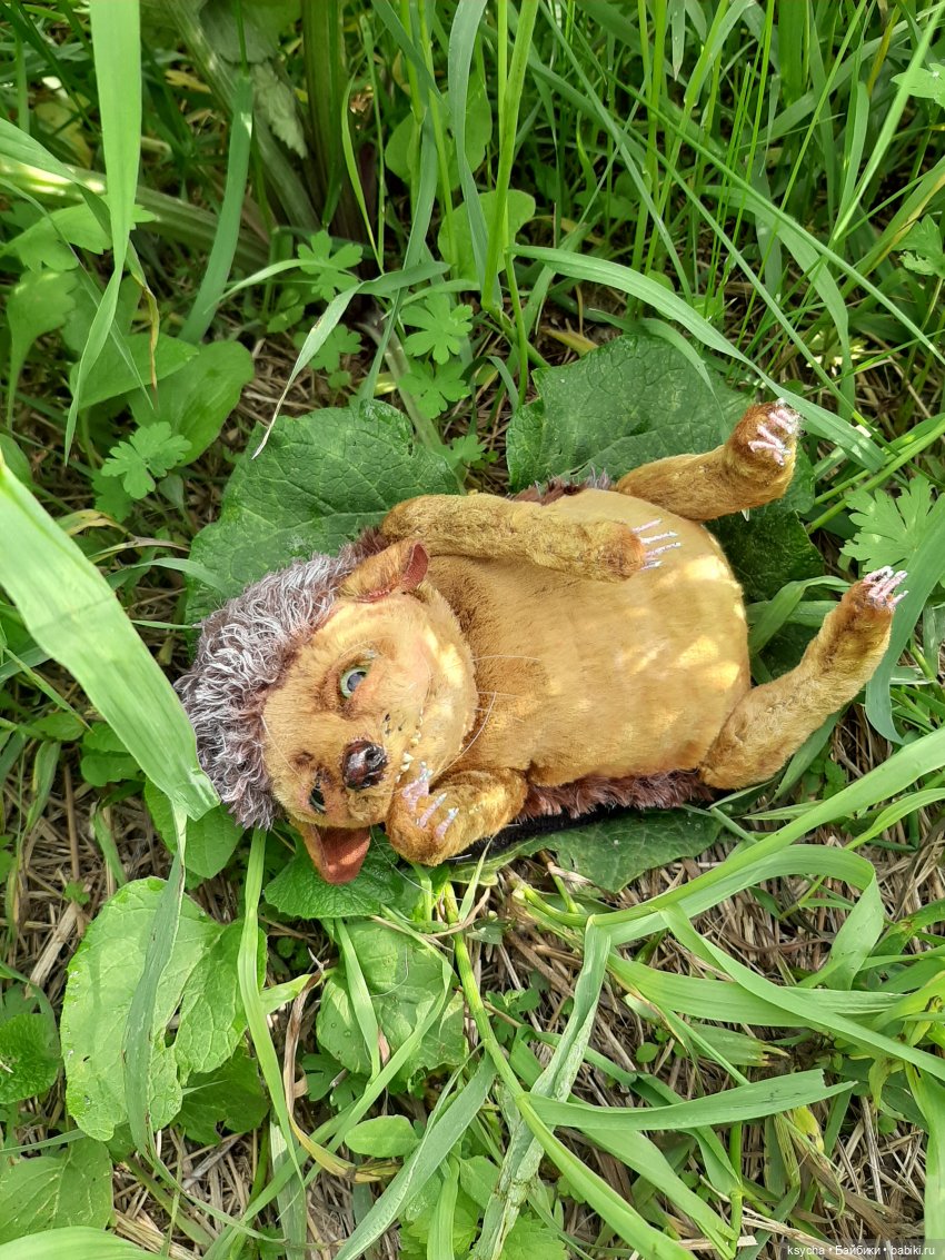 Наш Ёжа Ёжевич — Домашние фото авторских игрушек: Тедди (фото 5)