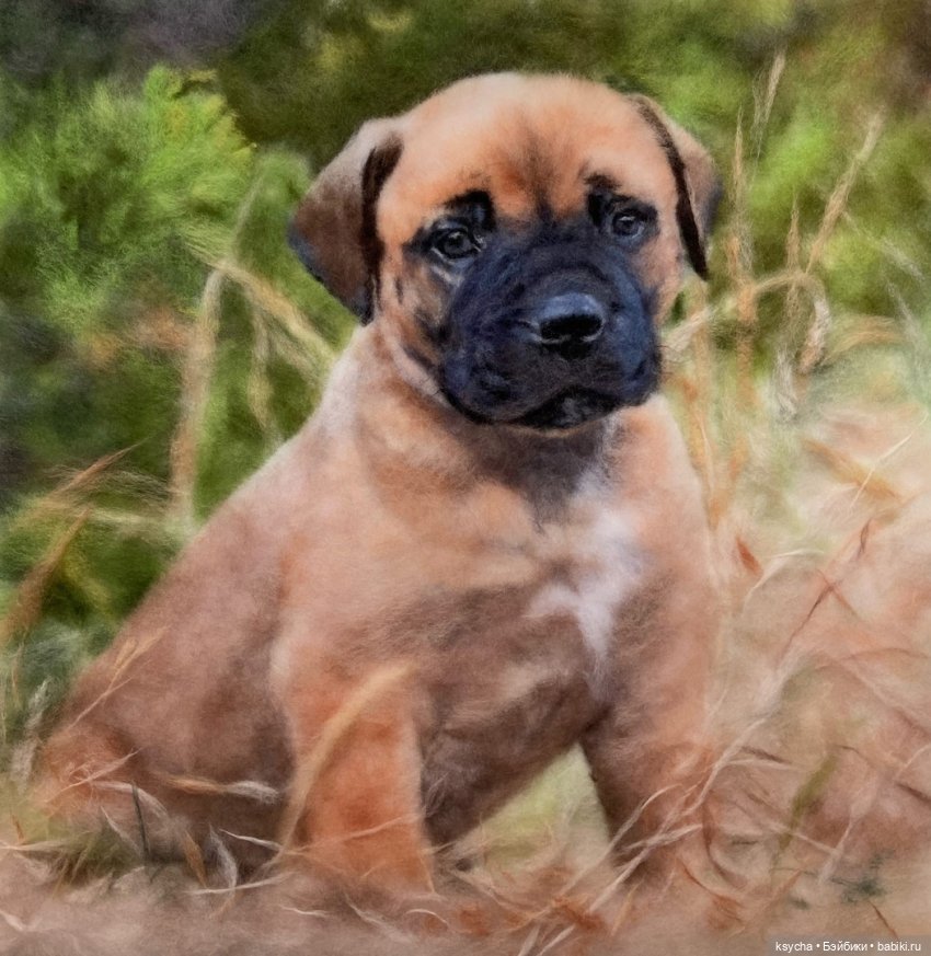 Живопись шерстью от Анны Вострухиной (фото 5)