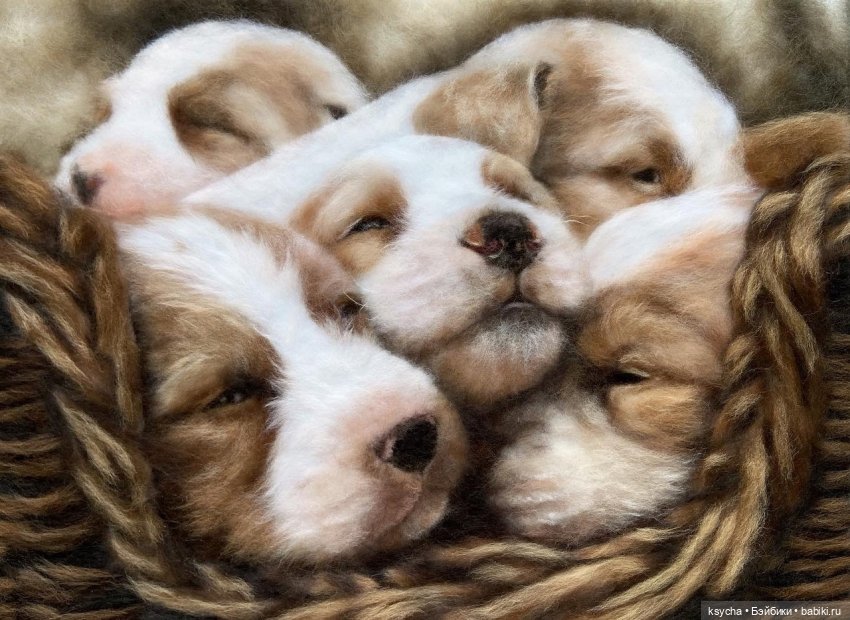 Живопись шерстью от Анны Вострухиной