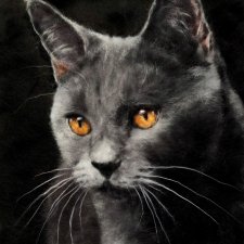 Живопись шерстью от Анны Вострухиной