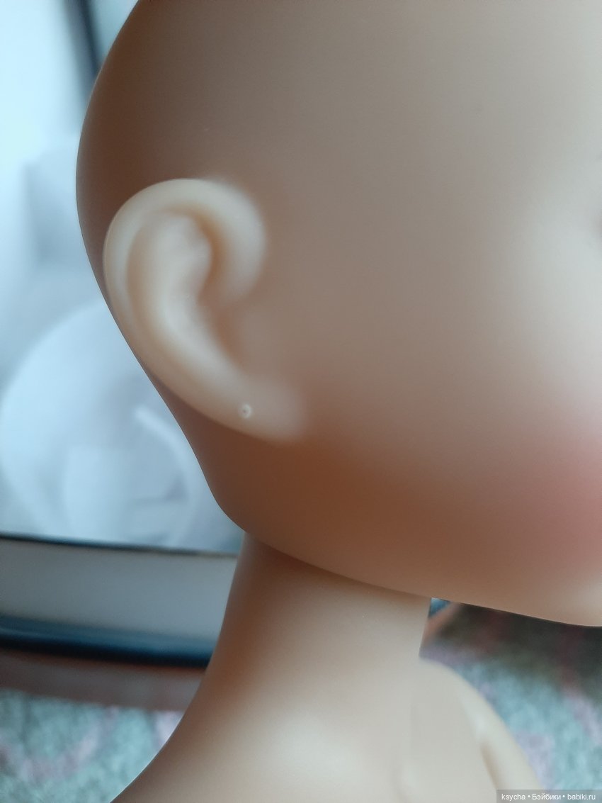 .....Роза — Куклы Ruby Red (Руби Ред) Fashion Friends: Siblies (фото 5)