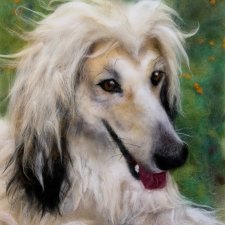 Живопись шерстью