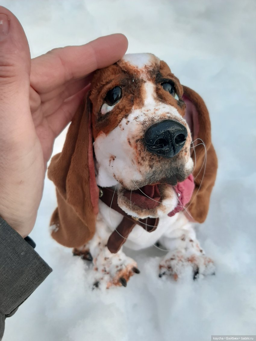 Бассет хаунд Себастьян — Домашние фото авторских игрушек: Тедди (фото 9)