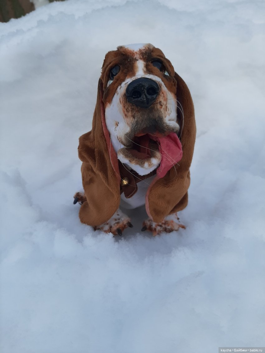 Бассет хаунд Себастьян — Домашние фото авторских игрушек: Тедди (фото 4)