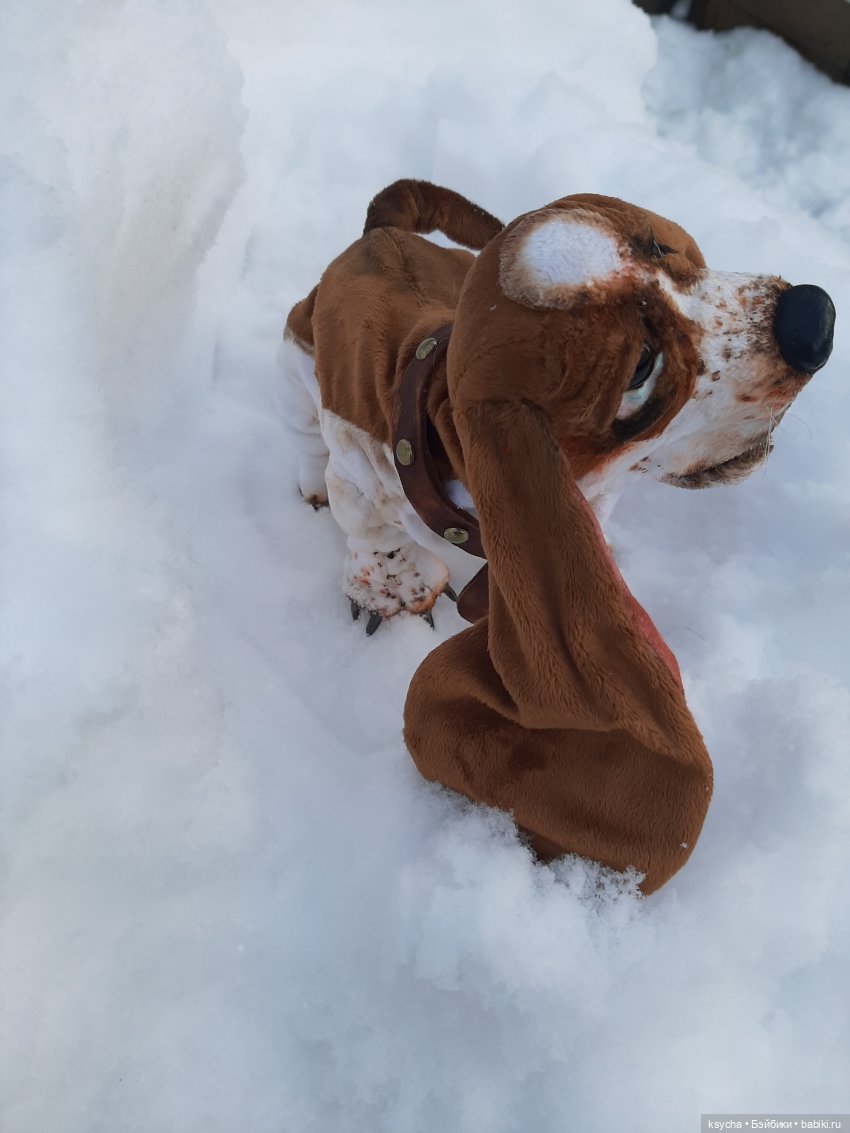 Бассет хаунд Себастьян — Домашние фото авторских игрушек: Тедди (фото 7)