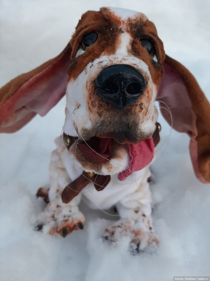 Бассет хаунд Себастьян — Домашние фото авторских игрушек: Тедди (фото 8)
