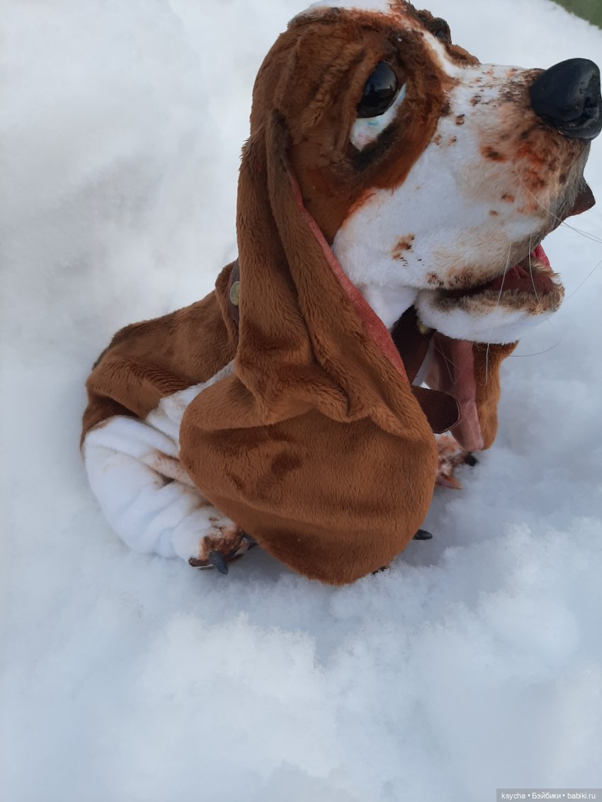 Бассет хаунд Себастьян — Домашние фото авторских игрушек: Тедди (фото 5)