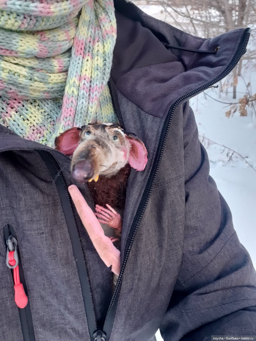 Анфиса — Авторские мишки Тедди и друзья: фото (фото 4)