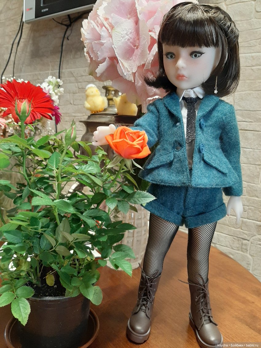 Сэйдж — Куклы Ruby Red (Руби Ред) Fashion Friends: Siblies (фото 5)