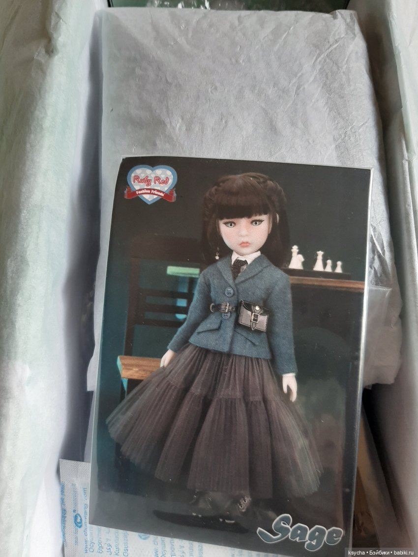 Сэйдж — Куклы Ruby Red (Руби Ред) Fashion Friends: Siblies (фото 2)