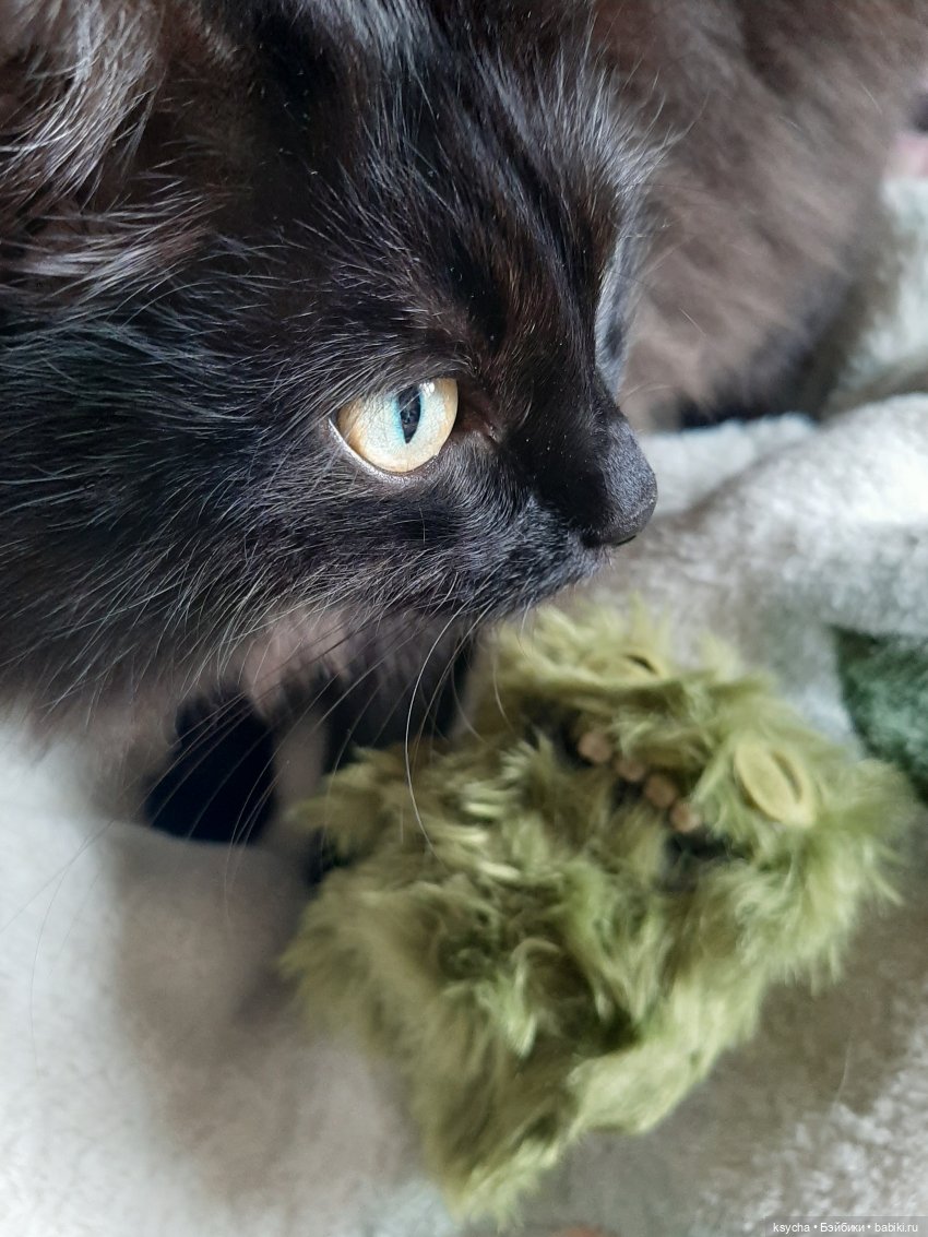 К нам приехал,к нам приехал.....наш Fuggler дорогой (фото 3)