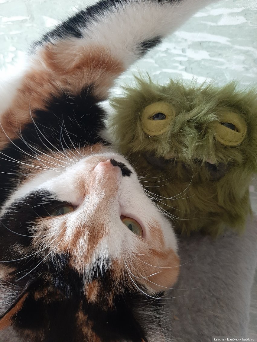 К нам приехал,к нам приехал.....наш Fuggler дорогой (фото 2)