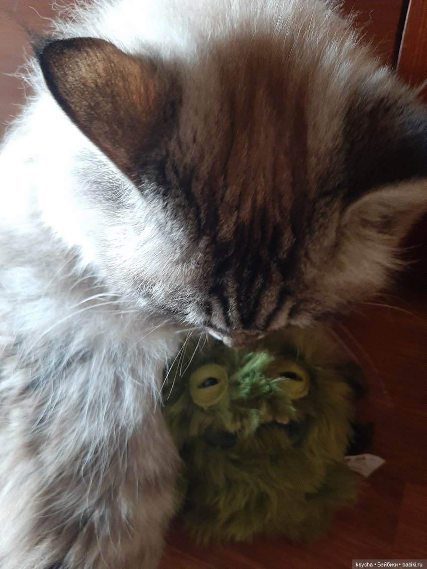 К нам приехал,к нам приехал.....наш Fuggler дорогой (фото 5)