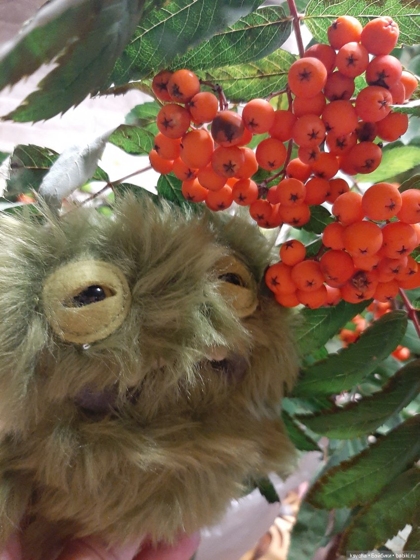 К нам приехал,к нам приехал.....наш Fuggler дорогой (фото 6)