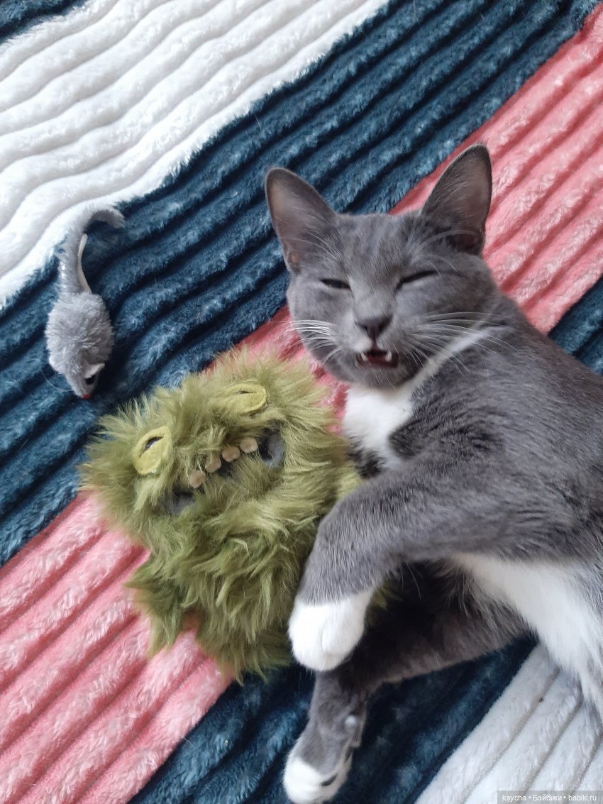 К нам приехал,к нам приехал.....наш Fuggler дорогой (фото 7)