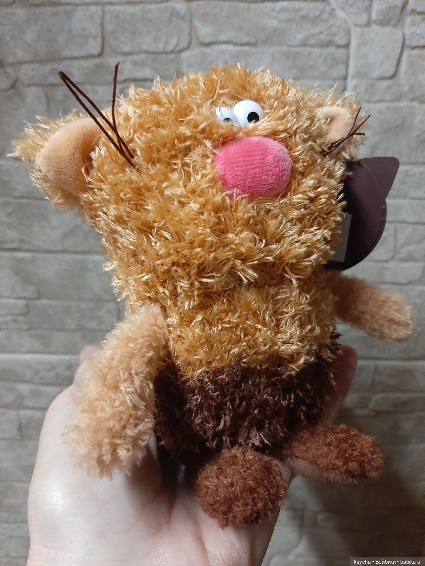 Кофейный кот из кружки — Кот Басик (фото 2)