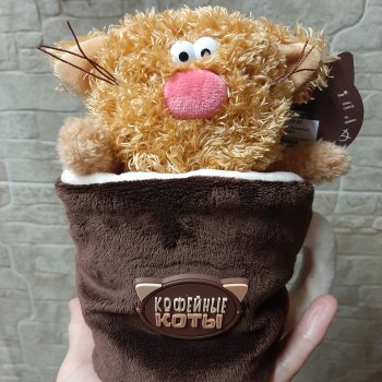 Кофейный кот из кружки