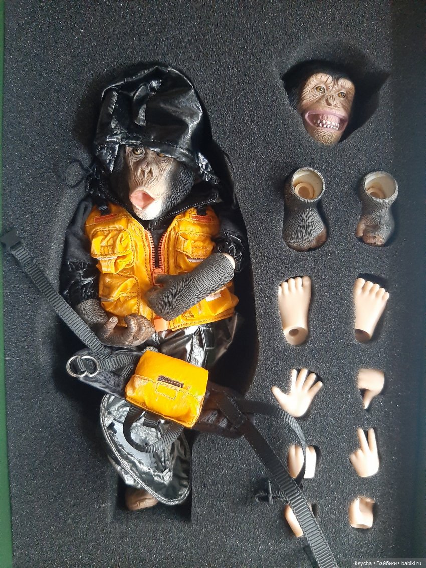 Наш домашний Кинг Конг от Mr.Z (фото 5)