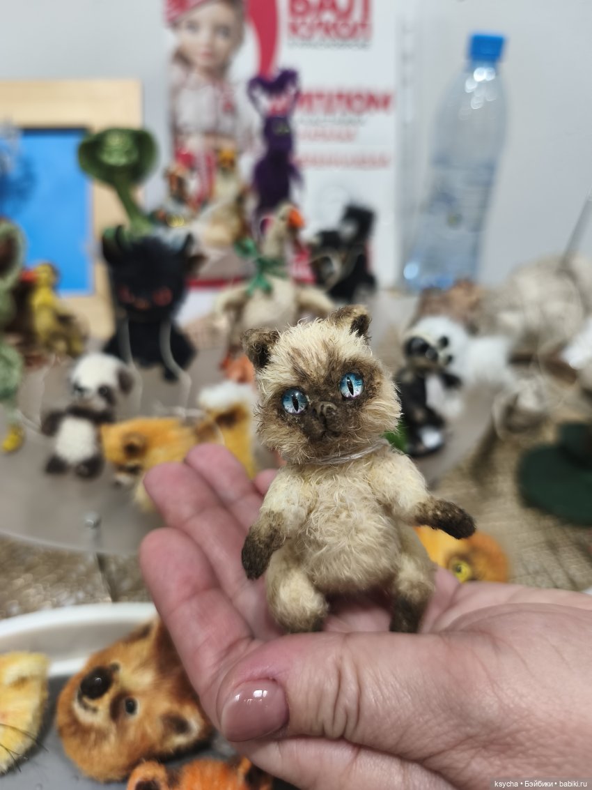 Бал кукол в Красноярске часть 3