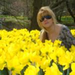 Парк цветов в Кеукенхоф (Keukenhof) в Нидерландах (Голландия)