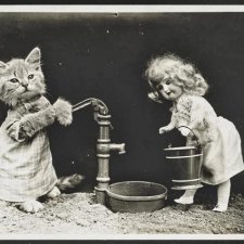 Черно-белый топик! Фотографии Harry Whittier Frees котов и собачек 1914 года