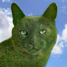 Чудо Топиари КОТ, Ричард Сондерс. 'The Topiary Cat',  Richard Saunders