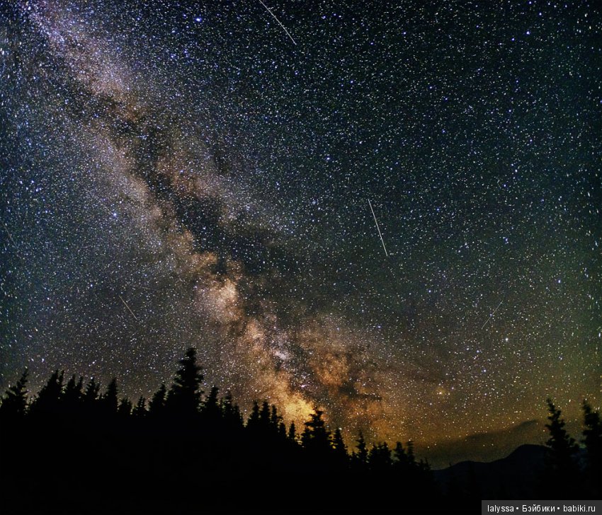 А вы любите смотреть на звезды? Вечерняя прогулка с Бианкой (фото 7)