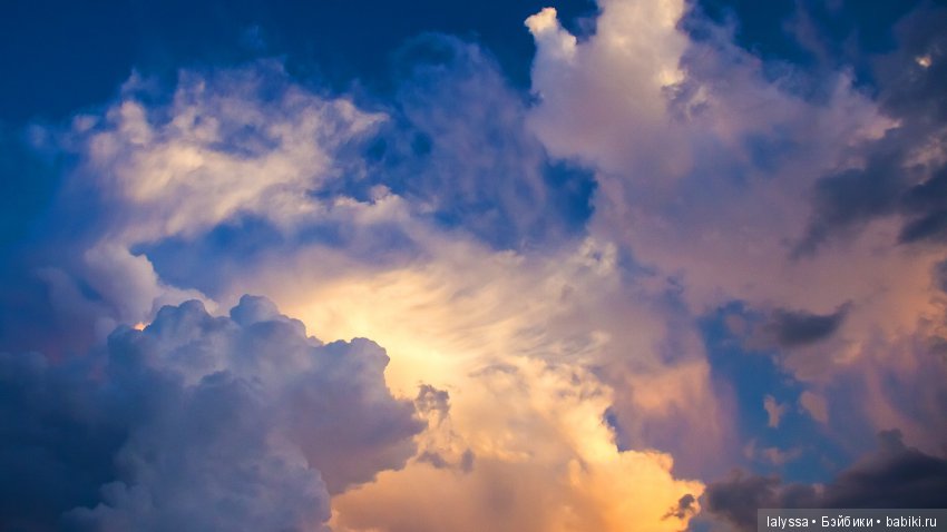 А вы любите смотреть на звезды? Вечерняя прогулка с Бианкой