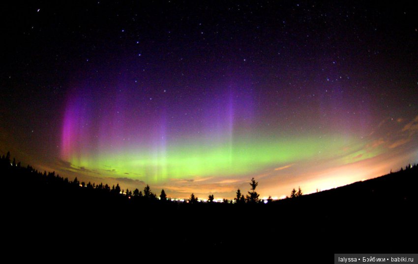 А вы любите смотреть на звезды? Вечерняя прогулка с Бианкой (фото 4)