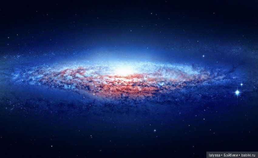 А вы любите смотреть на звезды? Вечерняя прогулка с Бианкой (фото 5)