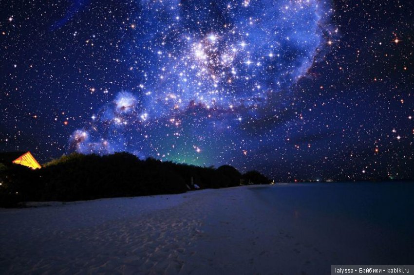 А вы любите смотреть на звезды? Вечерняя прогулка с Бианкой (фото 3)