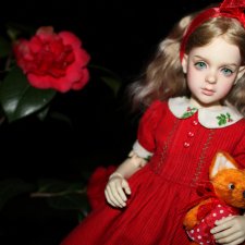 Розочка в вечернем саду