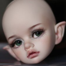 Голова DIM SD Bellosse normal skin