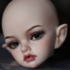 Голова DIM SD Kassia normal skin