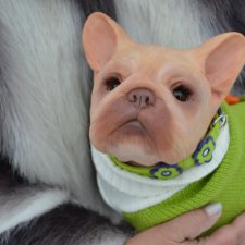 Прогулка бульдог Bellami, реборна. Мастерская Людмилы Скрылёвой