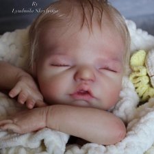 Brin  by Lisa Sylvia🫶