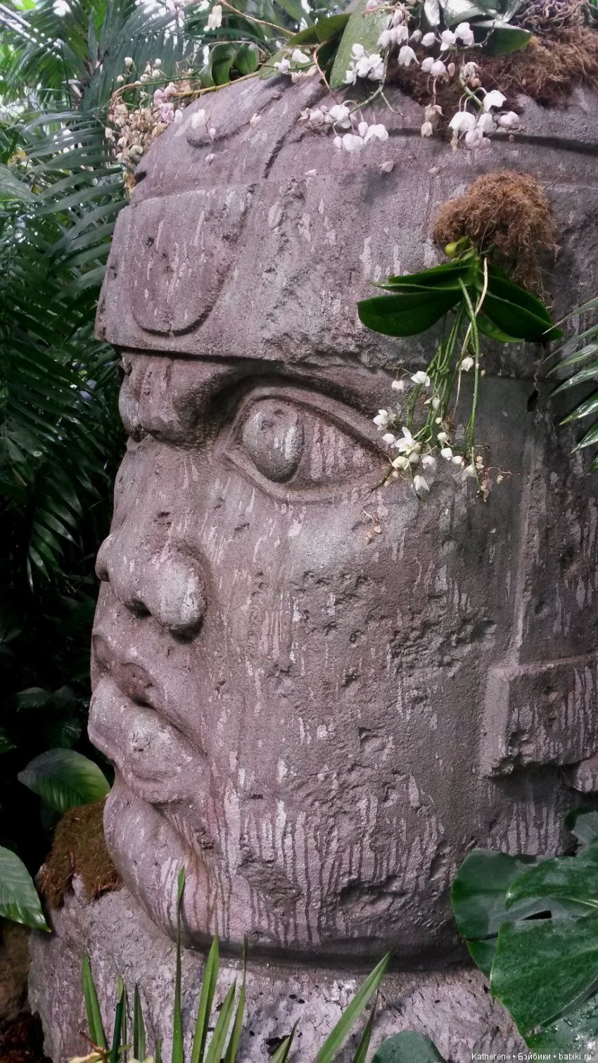 Ботанический сад МГУ — Красивая природа и цветы: фото пейзажей (фото 2)