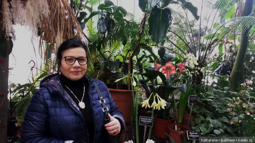 Ботанический сад МГУ — Красивая природа и цветы: фото пейзажей