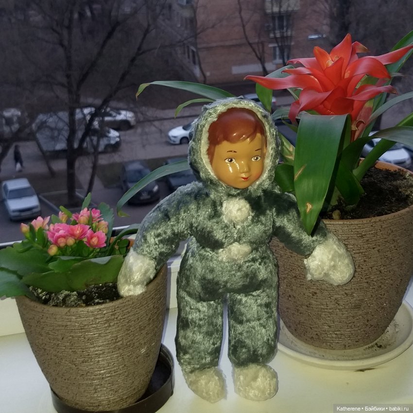 В моем доме поселилось маленькое счастье (фото 6)