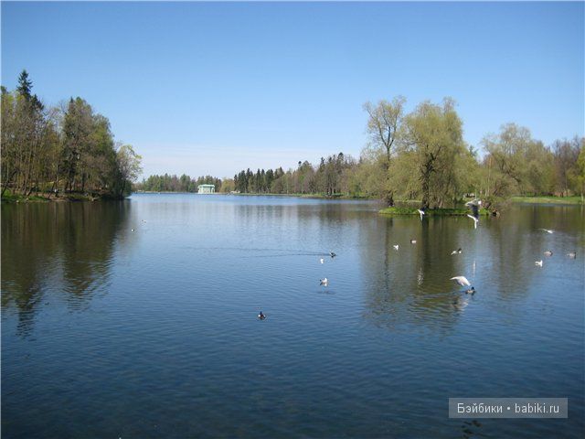 Элиза Глассголд