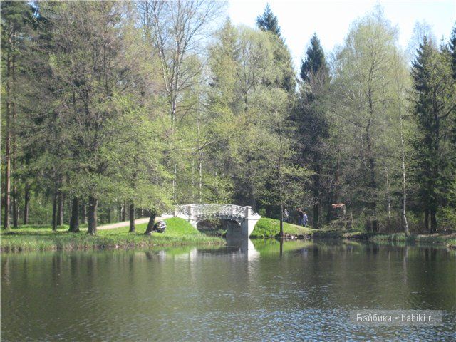 Элиза Глассголд