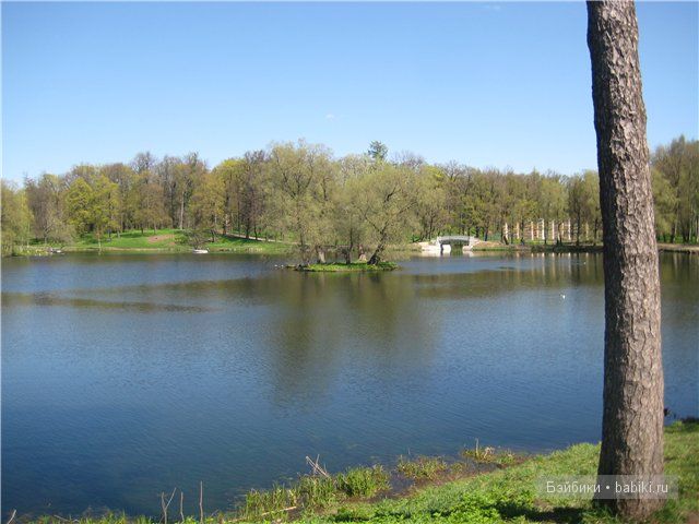 Элиза Глассголд