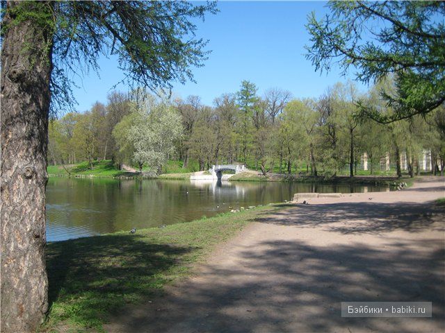 Элиза Глассголд